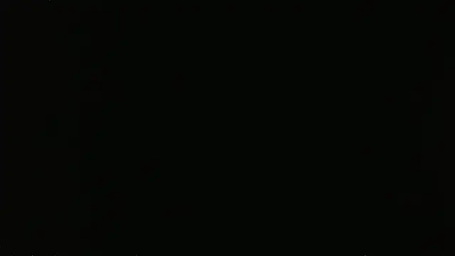 falconcam 即時 XXX 聊天