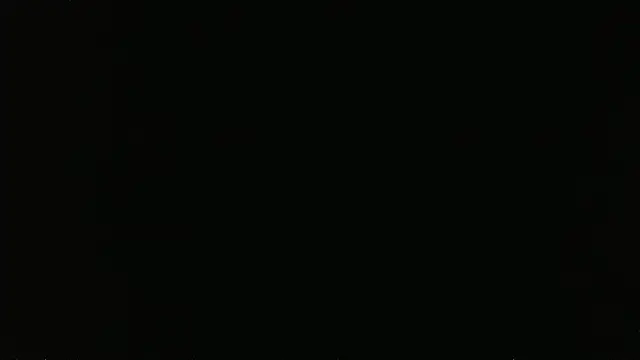 Chat XXX Live falconcam