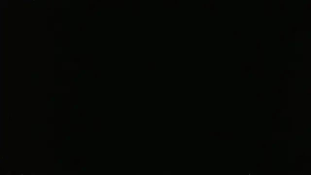 falconcam: вебкам-шоу