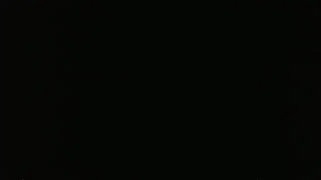 falconcam – webcam-show