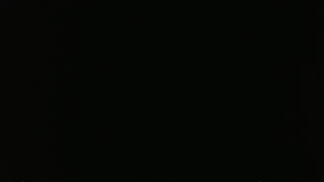 falconcam: διαδικτυακό σόου στην κάμερα