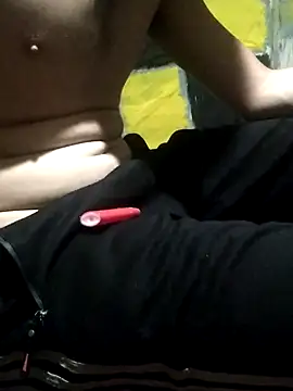 Wero4200n Webbikameraesitys