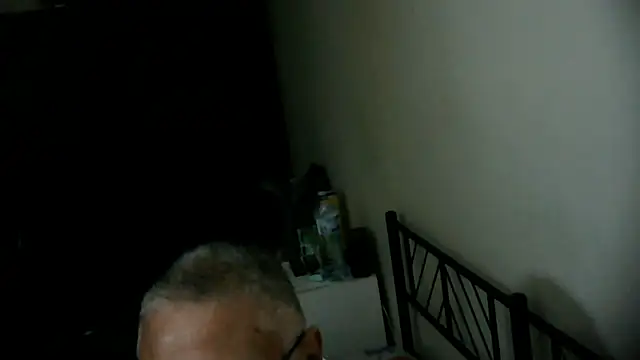 Show Webcam de 100Tauros