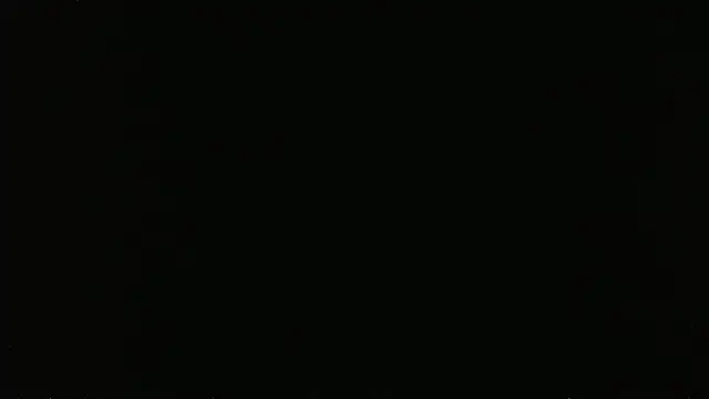 Show Webcam de falconcam