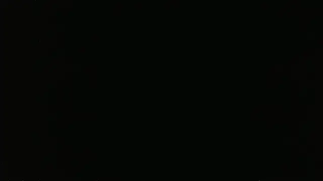 falconcam লাইভ XXX চ্যাট