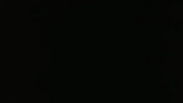 Show webcam de falconcam