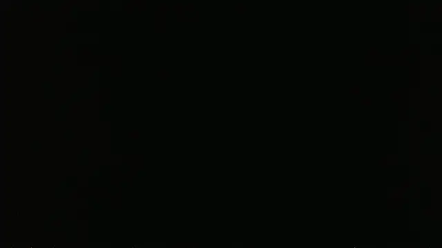 Show Webcam de falconcam