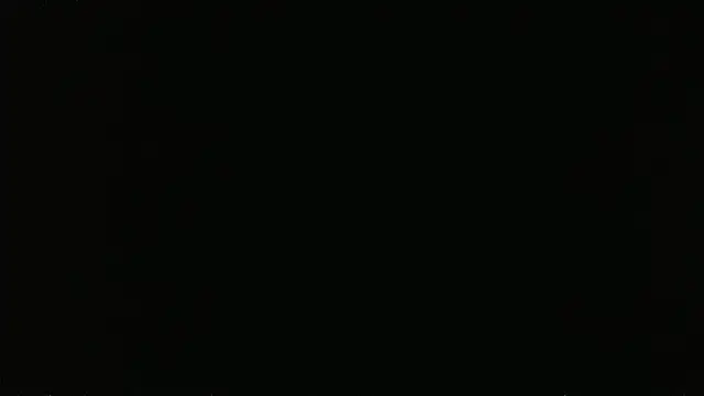 falconcam Webcam-Show