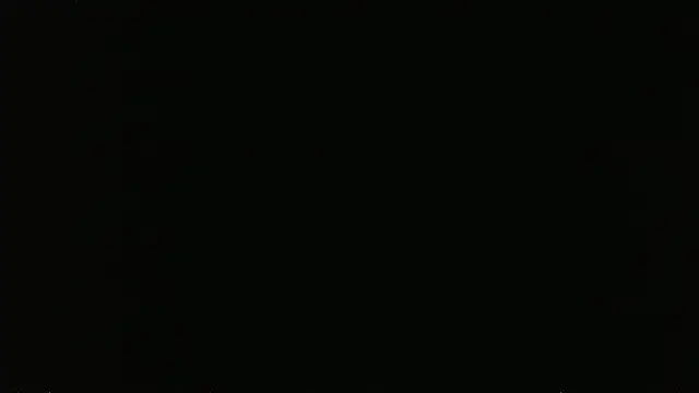 falconcam 现场XXX聊天