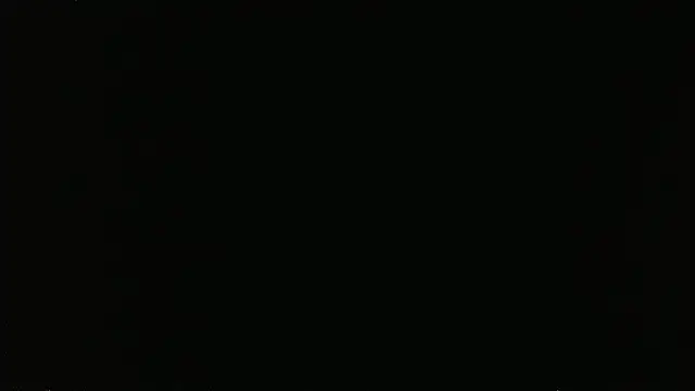Czat XXX na żywo – falconcam