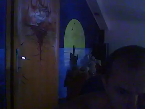 Webkamerová show Dejanaceking