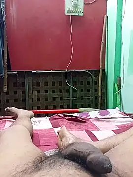 Show webcam de Playbo100