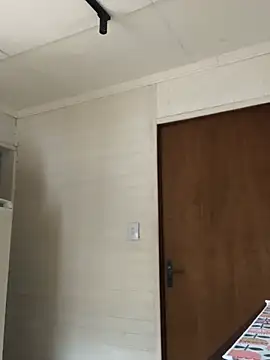 Show de dogfrota na webcam