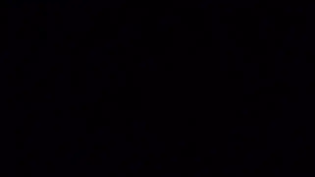 laylavg's Live XXX Chat