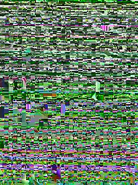 Hugodonatello webcam show