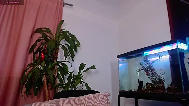 Chat XXX Live TastyTrap_18