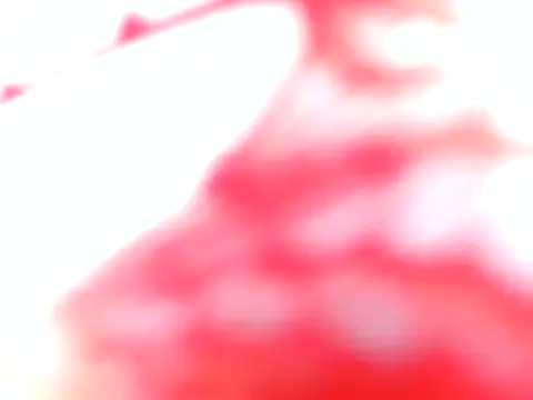 Bellaa25 webkamerás műsora