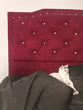 vanesa_gomez's Live XXX Chat