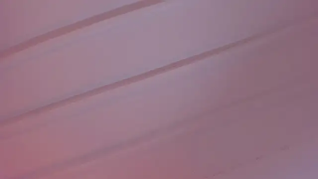 EvelynBlak1 Chat XXX live