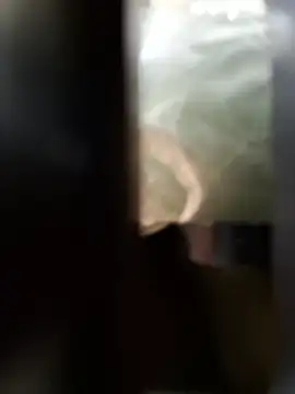 Ssk10N 라이브 XXX 채팅