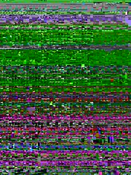 Show Webcam de TyAthletic