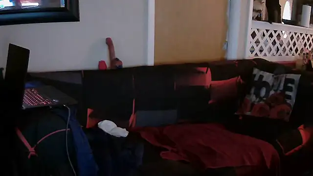 הופעת וובקאם של PinellasPlay