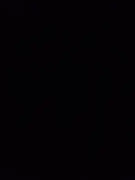 EgyptianHorse Show Webcam