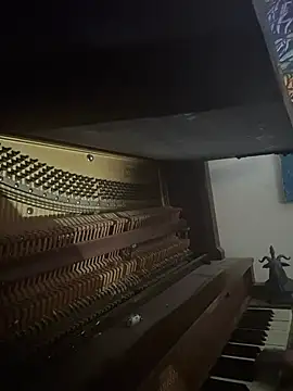 Fuckboyguyman's Live XXX Chat