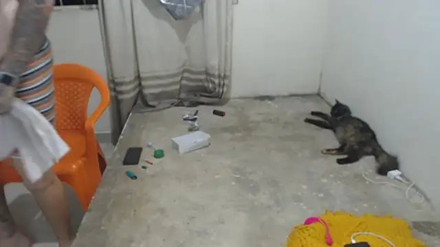 Chupaprofundo – Naživo XXX chat