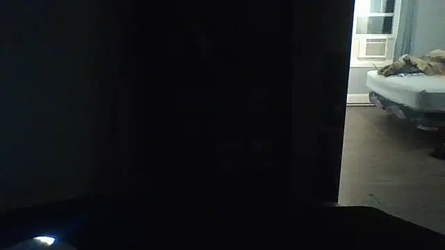 Show webcam de YourBoyToii