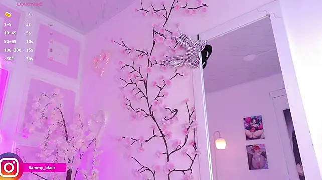 Sammyblaer 现场XXX聊天