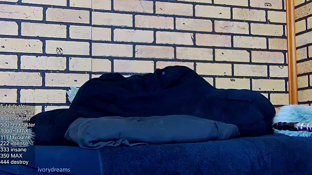 IvoryDreams 라이브 XXX 채팅