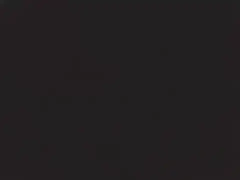 SHARPSkinhead 网络视讯表演