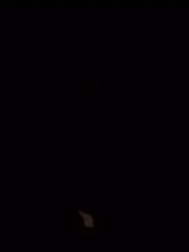 Lucas567292 webcam show