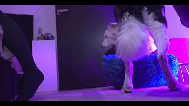 Živý XXX chat LorenRosse