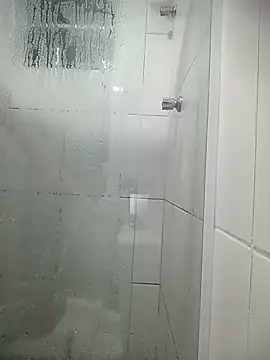 PhiilpsGrimmen Webbikameraesitys