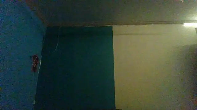 Chat XXX ao vivo de ReallyReallyReal