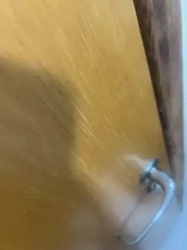 Lc23456 webkamerás műsora
