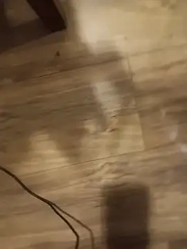 Harley428: онлайн-секс-чат
