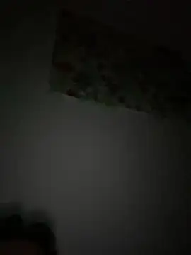 mhhgfffghh: вебкам-шоу