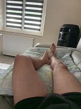 Show webcam de exib33