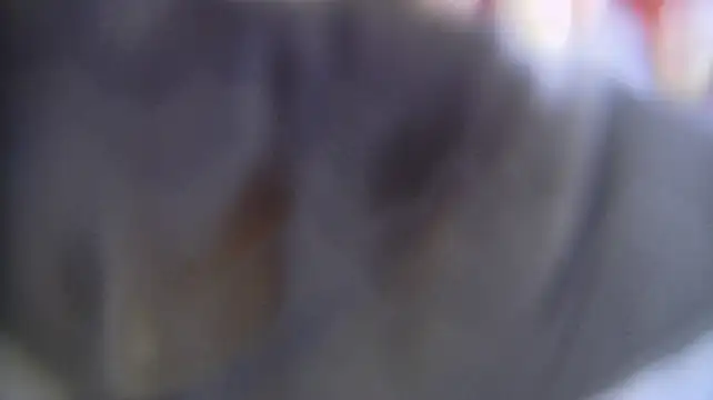Chat +18 de J3nniferS ao vivo