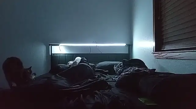 Онлайн чат XXX stoner_420