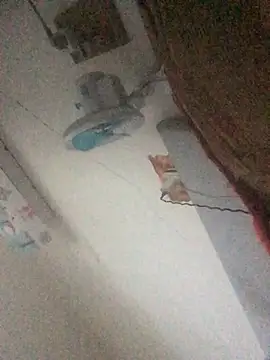 Chat XXX Live yaocaobi8