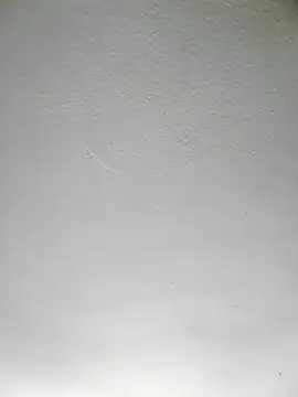 mariusSingur Webcam show
