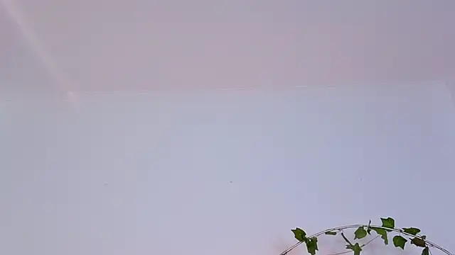 XXX chat uživo modela Miless_Cooper