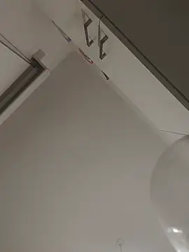 biggnipzのウェブカメラショー
