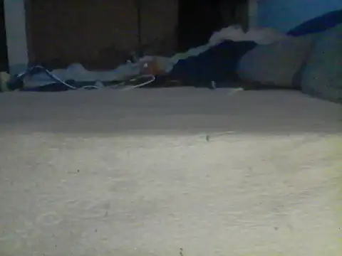 Chat XXX en directo de Silencio26