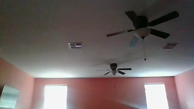 dracogotti Webcam Show
