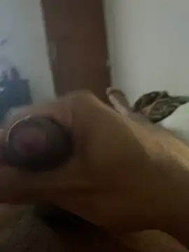 הופעת וובקאם של zecajuni